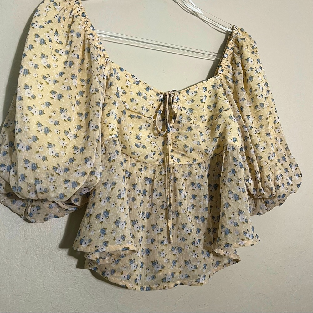 Franco Puff Sleeve Crop Top with Sheer Bottom